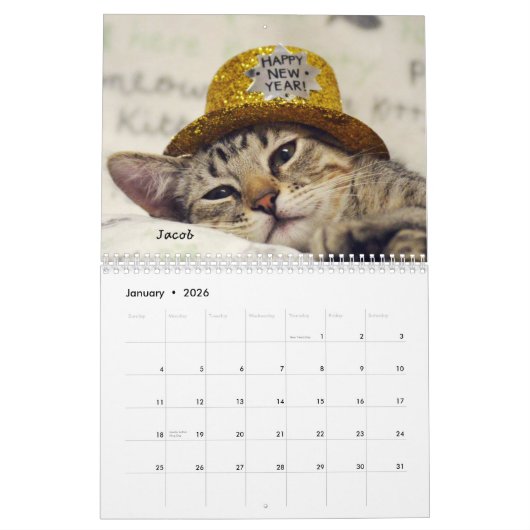 Greyfoot Cat Rescue 2017 Calendar Kalender (Jan 2026)