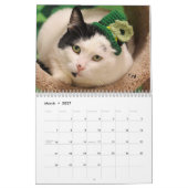 Greyfoot Cat Rescue 2017 Calendar Kalender (Mar 2027)