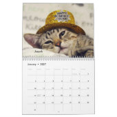 Greyfoot Cat Rescue 2017 Calendar Kalender (Jan 2027)