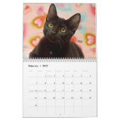 Greyfoot Cat Rescue 2017 Calendar Kalender (Feb 2027)