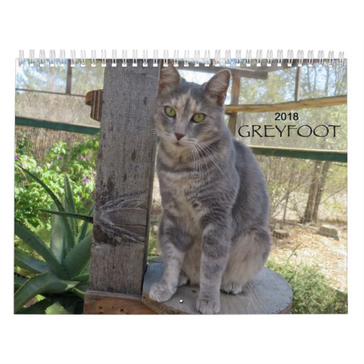 Greyfoot Cat Rescue 2018 Calendar Kalender (Hoes)