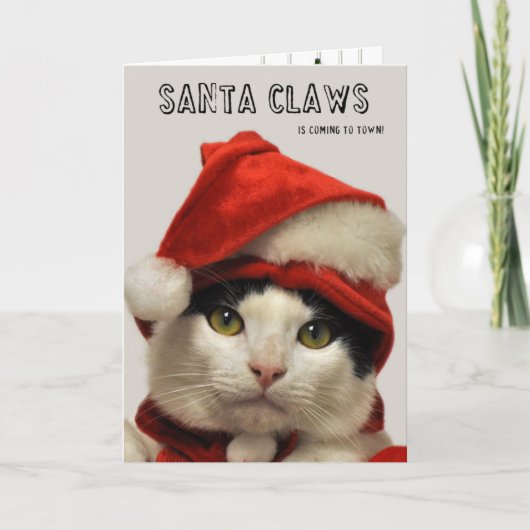 Greyfoot Cat Rescue Santa Claws Vakantie Kaart (Voorkant)