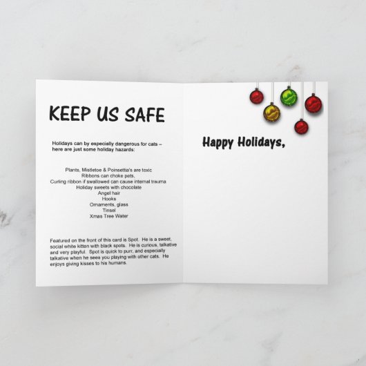 Greyfoot Cat Rescue Santa Claws Vakantie Kaart (Binnen)