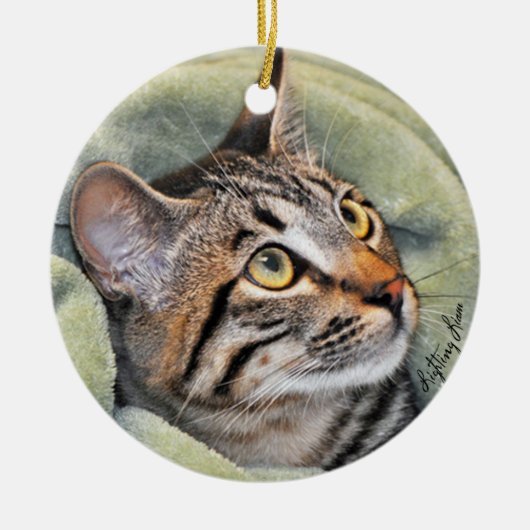 Greyfoot Cat Rescue Silver Grey Tabby Ornament (Voorkant)