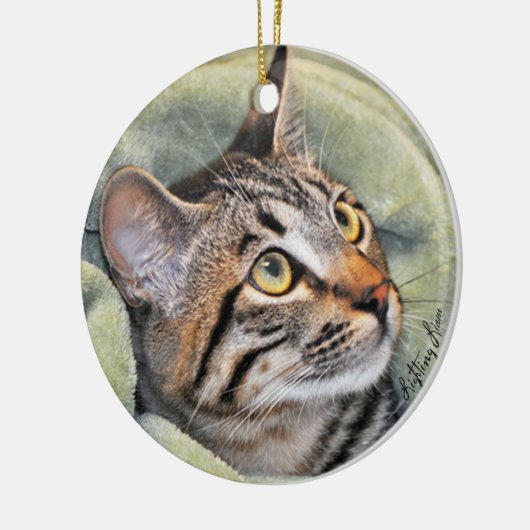 Greyfoot Cat Rescue Silver Grey Tabby Ornament (Links)