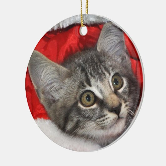 Greyfoot Cat Rescue Silver Grey Tabby Ornament (Links)