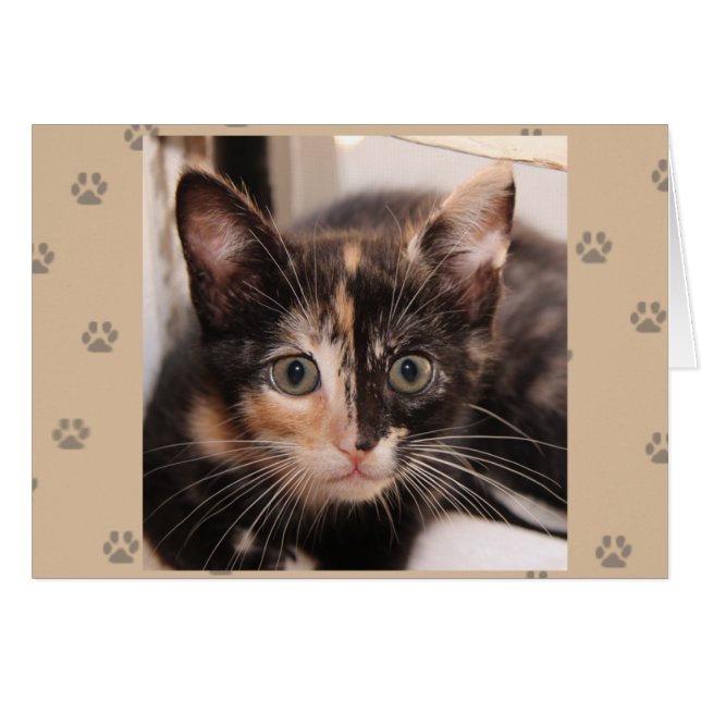 Greyfoot Cat Rescue Tortie Card (Voorkant Horizontaal)