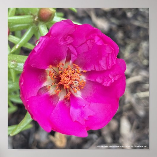 greyforaday Paarse Floral Print (Voorkant)