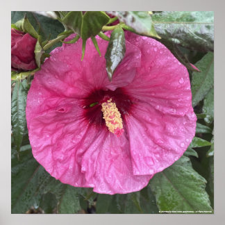 greyforaday Paarse Floral Print