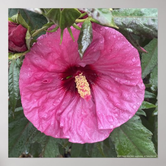 greyforaday Paarse Floral Print (Voorkant)