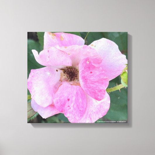 greyforaday Pink Floral Print (Voorkant)