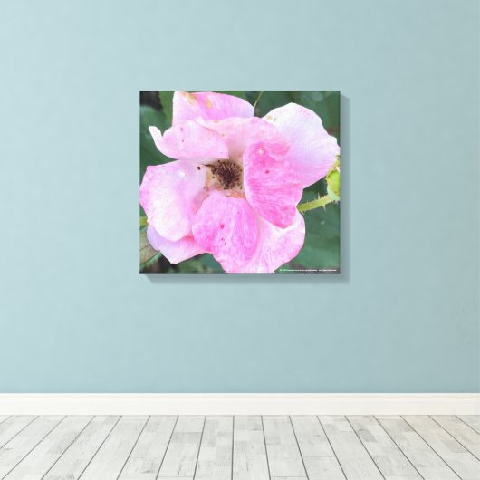 greyforaday Pink Floral Print (Insitu (Houten vloer))