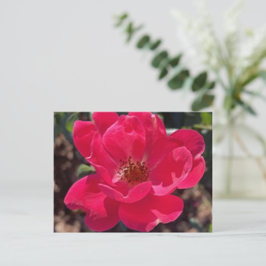 greyforaday Red Floral Card Briefkaart (Staand voorkant)