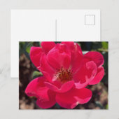 greyforaday Red Floral Card Briefkaart (Voorkant / Achterkant)