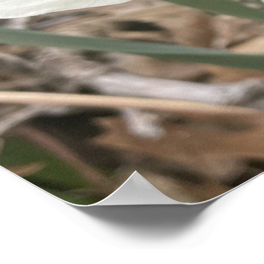 greyforaday White Floral Print (Hoek)