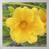 greyforaday Yellow Floral Print (Voorkant)