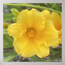 greyforaday Yellow Floral Print