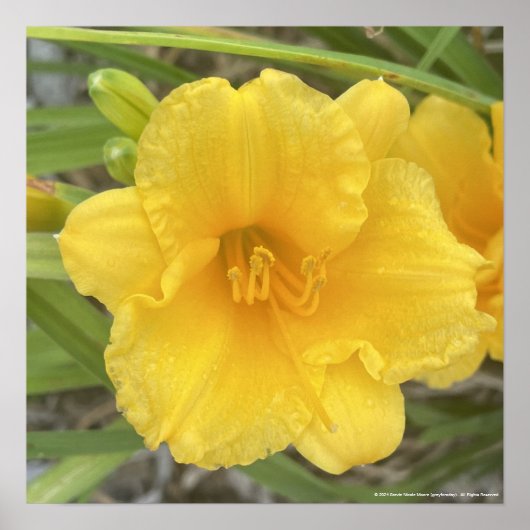 greyforaday Yellow Floral Print (Voorkant)