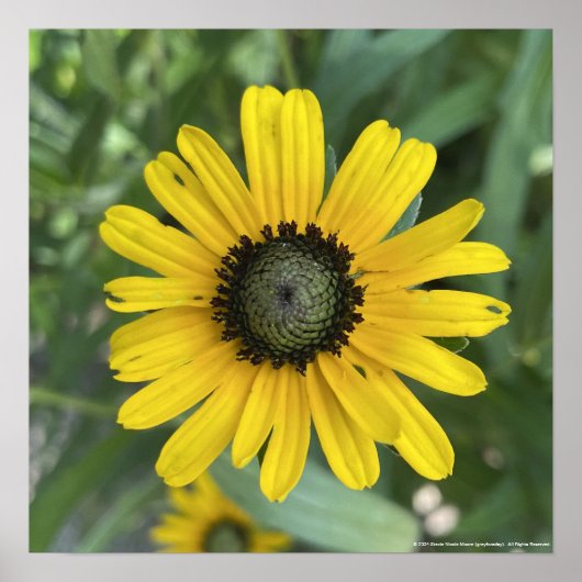 greyforaday Yellow Floral Print (Voorkant)