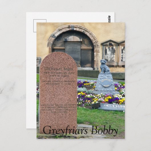 Greyfriars Bobby, Edinburgh Briefkaart (Voorkant / Achterkant)
