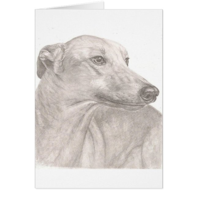 Greyhound (Voorkant)