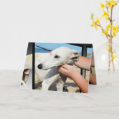 Greyhound 3D Effect Birthday Wenskaart Kaart (Gele Bloem)