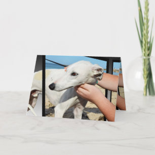 Greyhound 3D Effect Birthday Wenskaart Kaart