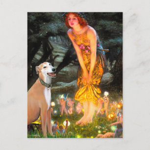 Greyhound 9B - Midzomernacht Briefkaart