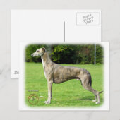 Greyhound 9J007D-14 Briefkaart (Voorkant / Achterkant)