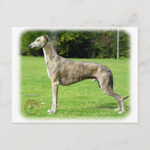 Greyhound 9J007D-14 Briefkaart