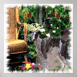 Greyhound Art Print