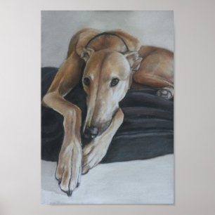 Greyhound Art Print