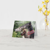 Greyhound birthday card (p338) kaart (Gele Bloem)