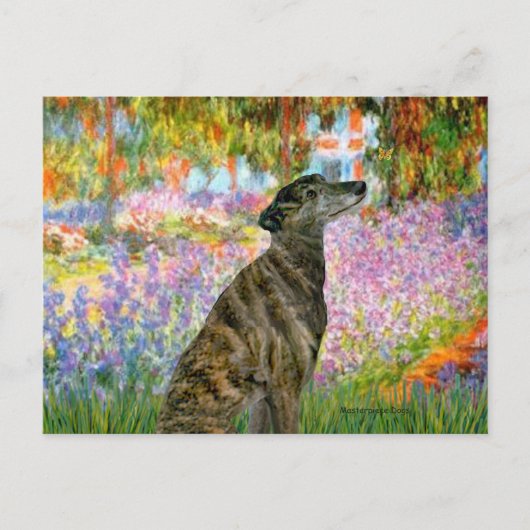Greyhound (br2) - Tuin Briefkaart (Voorkant)