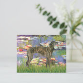 Greyhound (br8) - Waterlelies 2 Briefkaart (Staand voorkant)