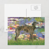 Greyhound (br8) - Waterlelies 2 Briefkaart (Voorkant / Achterkant)