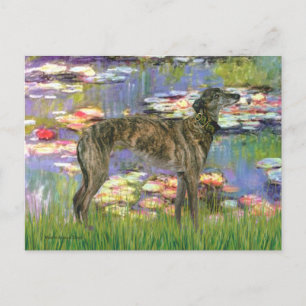 Greyhound (br8) - Waterlelies 2 Briefkaart