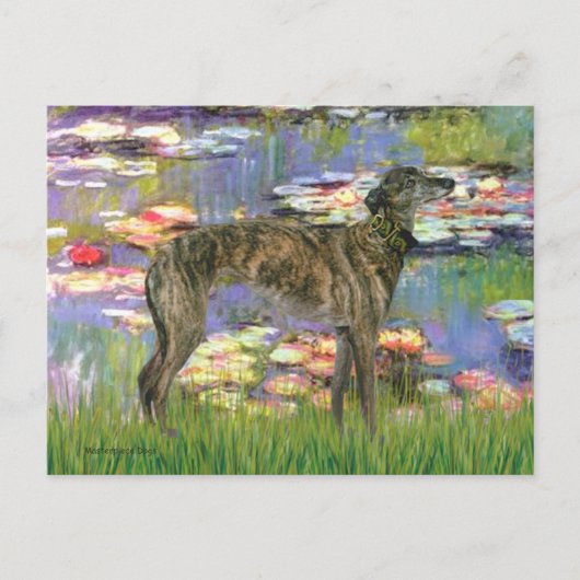 Greyhound (br8) - Waterlelies 2 Briefkaart (Voorkant)