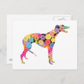 Greyhound Briefkaart (Voorkant / Achterkant)