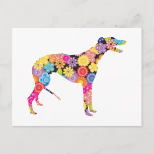 Greyhound Briefkaart