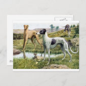 Greyhound Briefkaart (Voorkant / Achterkant)