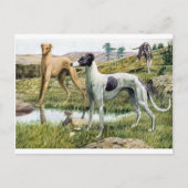 Greyhound Briefkaart (Voorkant)