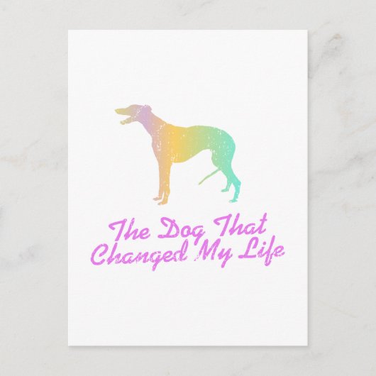 Greyhound Briefkaart (Voorkant)