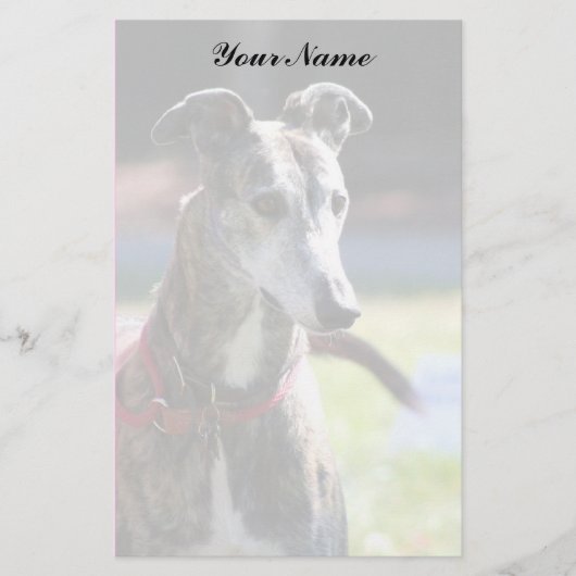 Greyhound briefpapier (Voorkant)