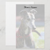 Greyhound briefpapier (Voorkant / Achterkant)