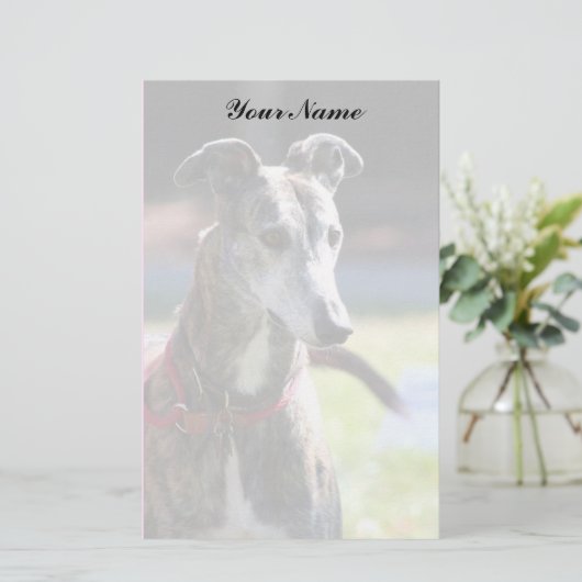 Greyhound briefpapier (Staand voorkant)