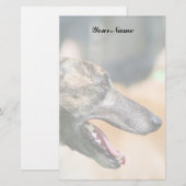 Greyhound briefpapier (Voorkant / Achterkant)