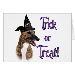 Greyhound (brindle) Trick