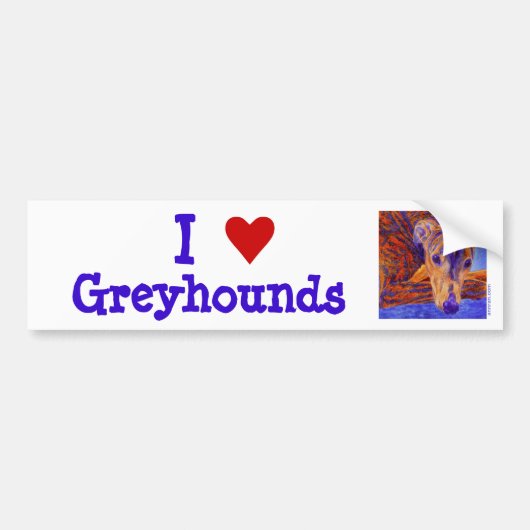 Greyhound Bumpersticker (Voorkant)