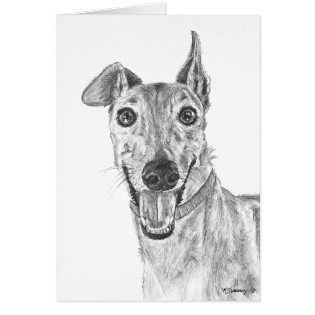 Greyhound Closeup Drawing (Voorkant)